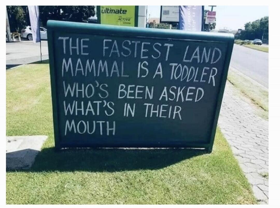 THE FASTEST LAND MAMMAL IS A TODDLER WHO'S BEEN ASKED WHAT'S IN THEIR MOUTH