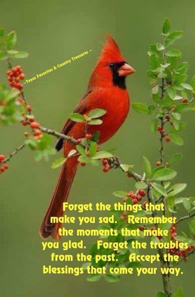 Texas Favorites & Country Treasures. Forget the things that make you sad. Remember the moments that make you glad. Forget the troubles from the past. Accept the blessings that come your way.