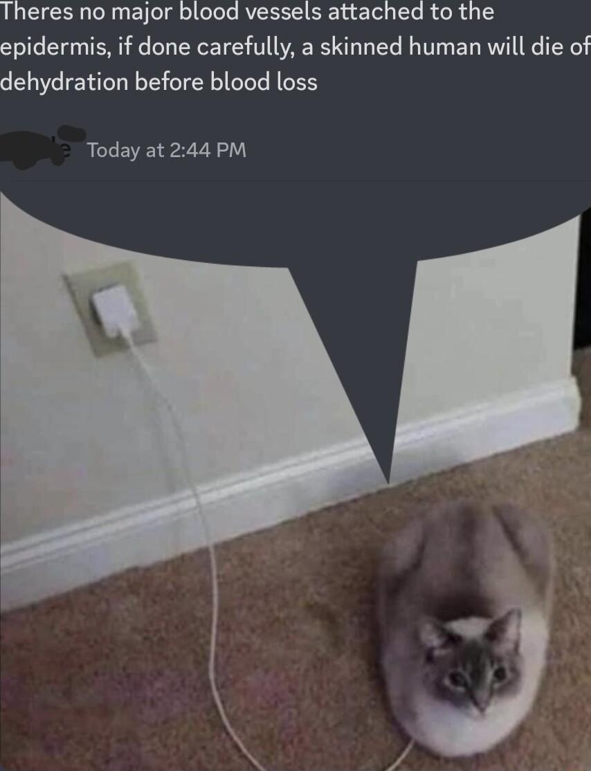 Theres no major blood vessels attached to the epidermis if done carefully a skinned human will die of dehydration before blood loss Today at 244 PM