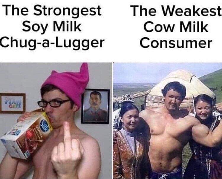 The Strongest The Weakest Soy Milk Cow Milk Chug a Lugger Consumer