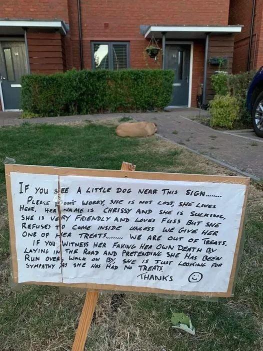 I you ez A tirrie 06 wer Ts sicas Pitase 2ow Woamy SHE 15 MoT Losy syt Lo 6 Yea waME 3 CHRISSY AnD swe i Scccuerne SHE 13 VARY FRENDLY Amy Loves Fass gy e Reuses One o WE AR IF You Witwess Wer Faiwe Hew Laving