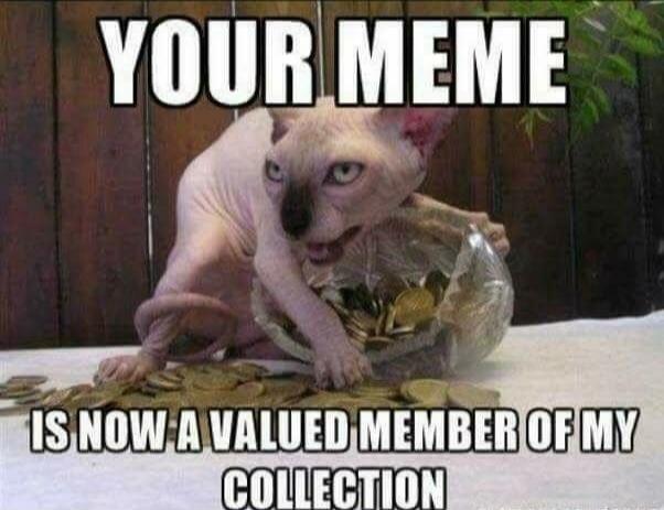 YOUR MEME IS NOW A VALUED MEMBER OF MY COLLECTION