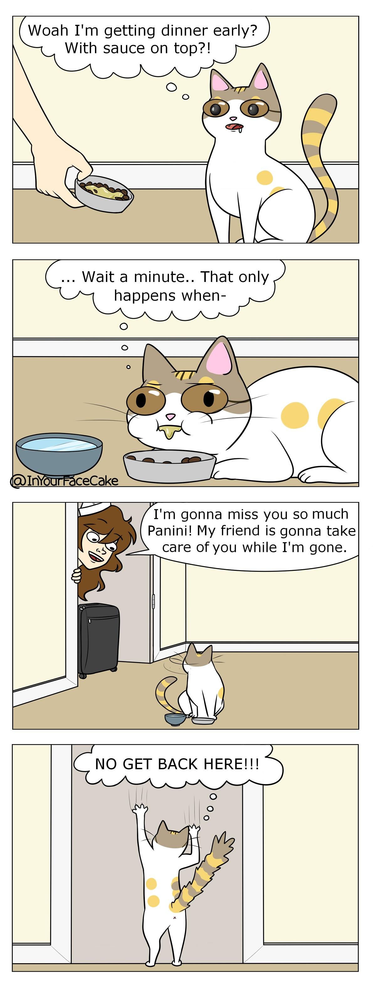 Woah Im getting dinner early With sauce on top Wait a minute That only happens when Im gonna miss you so much Panini My friend is gonna take care of you while Im gone