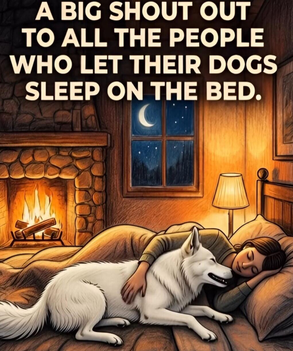 A BIG SHOUT OUT TO ALL THE PEOPLE WHO LET THEIR DOGS SLEEP ON THE BED.