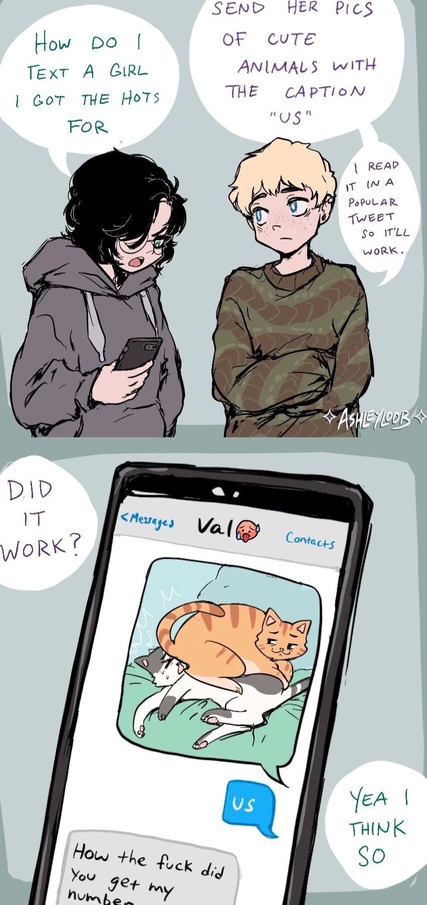 How Do Text A GIRL GoT THE HoT FoR SEND HER PicS OF cuTEe ANIMALS wITH THE CAPTION us Reap A PabuL AR TweeT So TLL woRrk