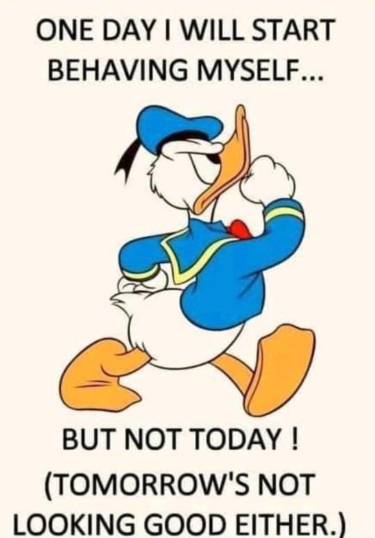 ONE DAY WILL START BEHAVING MYSELF BUT NOT TODAY TOMORROWS NOT LOOKING GOOD EITHER
