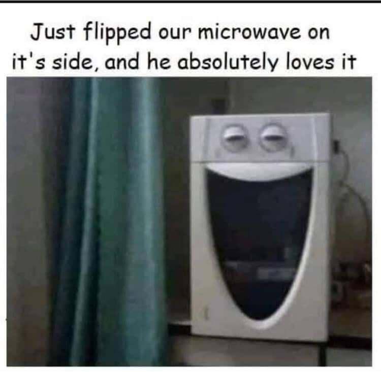 Just flipped our microwave on its side and he absolutely loves it