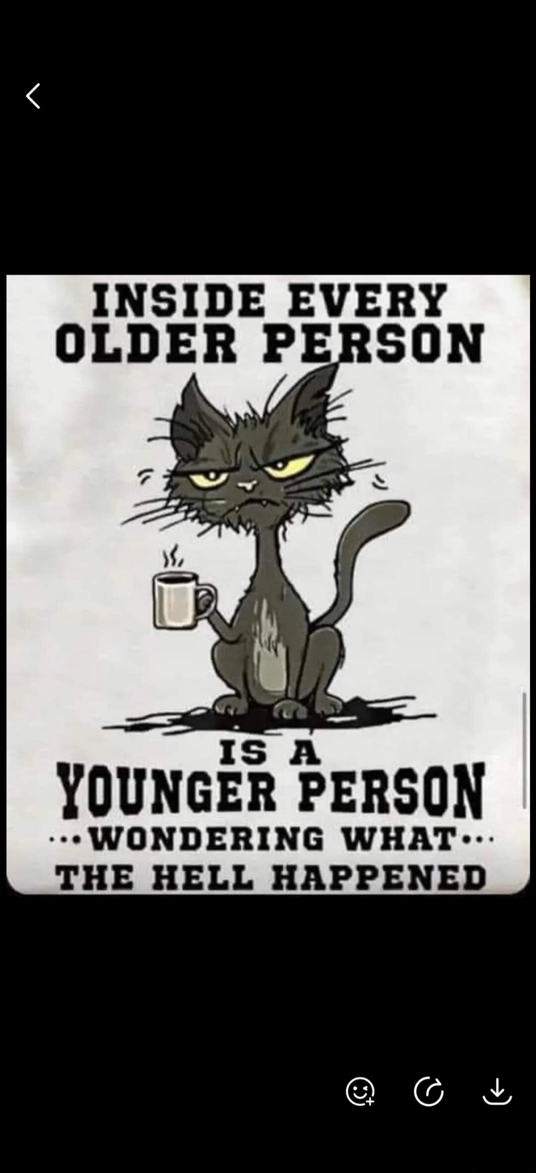 INSIDE EVERY OLDER PERSON IS A YOUNGER PERSON ...WONDERING WHAT... THE HELL HAPPENED