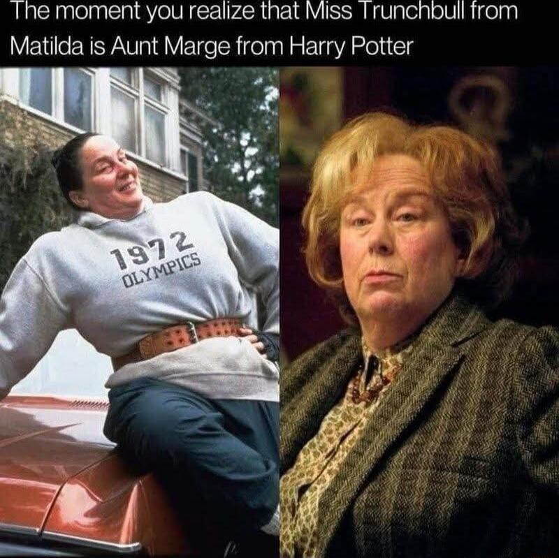 The moment you realize that Miss Trunchbull from Matilda is Aunt Marge from Harry Potter 1972 OLYMPICS