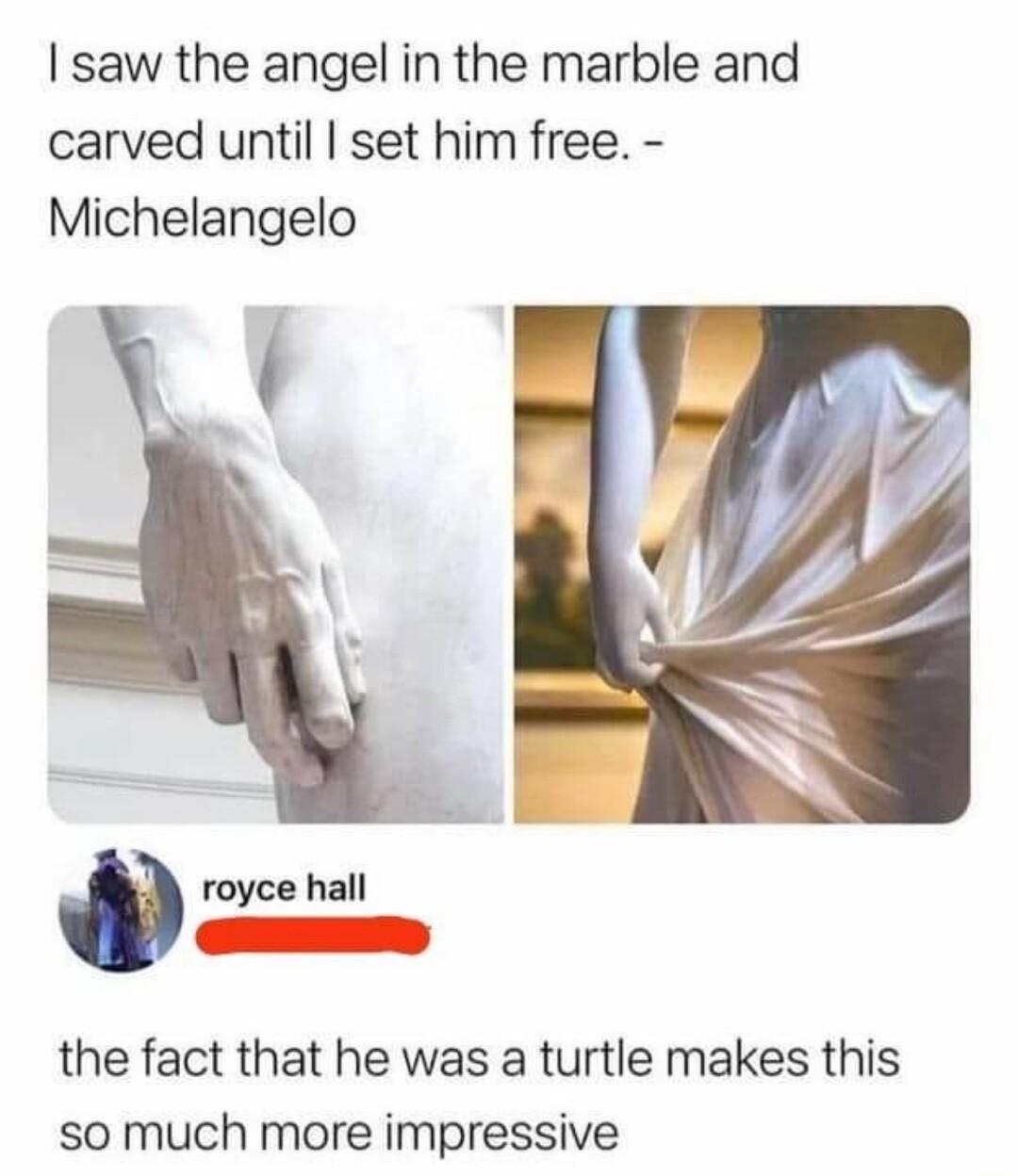saw the angel in the marble and carved until set him free Michelangelo royce hall e S5 the fact that he was a turtle makes this so much more impressive