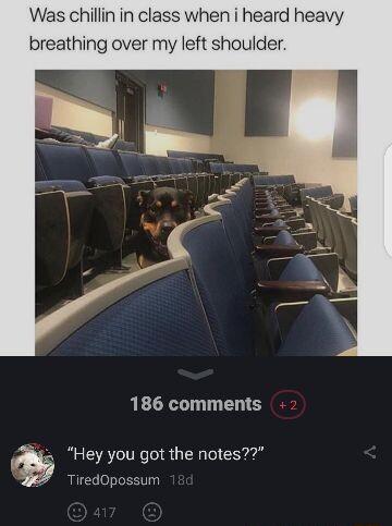 Was chillin in class when i heard heavy breathing over my left shoulder 186 comments Hey you got the notes 7 TiredOpossum