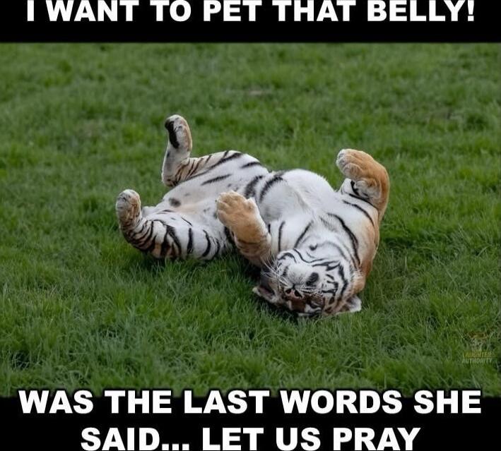I WANT TO PET THAT BELLY! WAS THE LAST WORDS SHE SAID... LET US PRAY