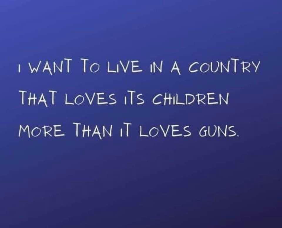 I WANT To LIVE IN A COUNTRY THAT LOVES TS CHILDREN MORE THAN IT LOVES GUNS
