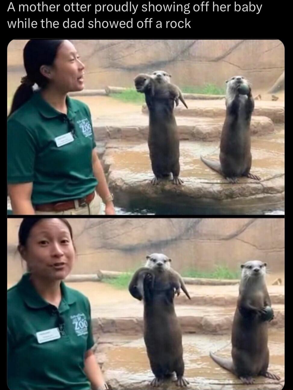 A mother otter proudly showing off her baby while the dad showed off a rock