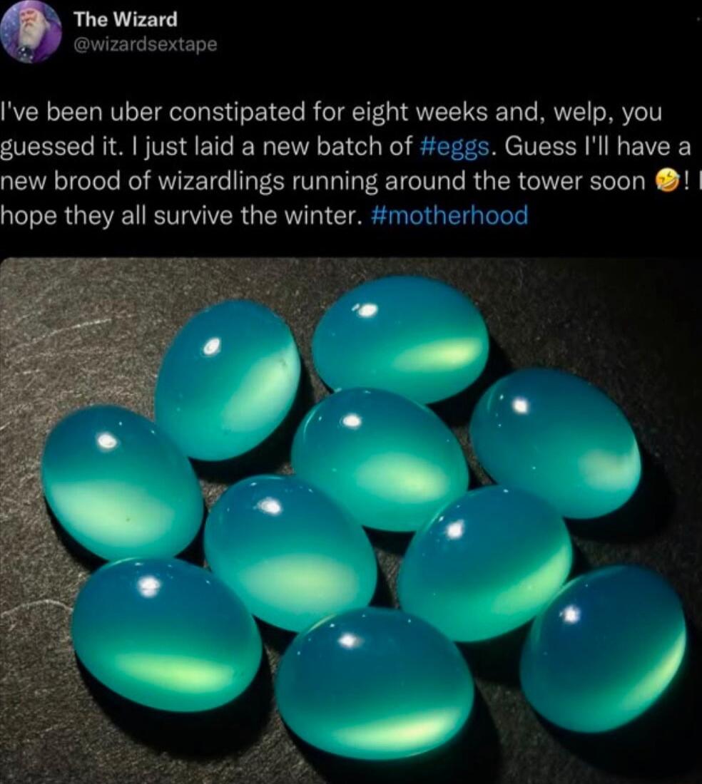 The Wizard wizardsextape Ive been uber constipated for eight weeks and welp you guessed it just laid a new batch of eggs Guess Ill have a new brood of wizardlings running around the tower soon hope they all survive the winter motherhood