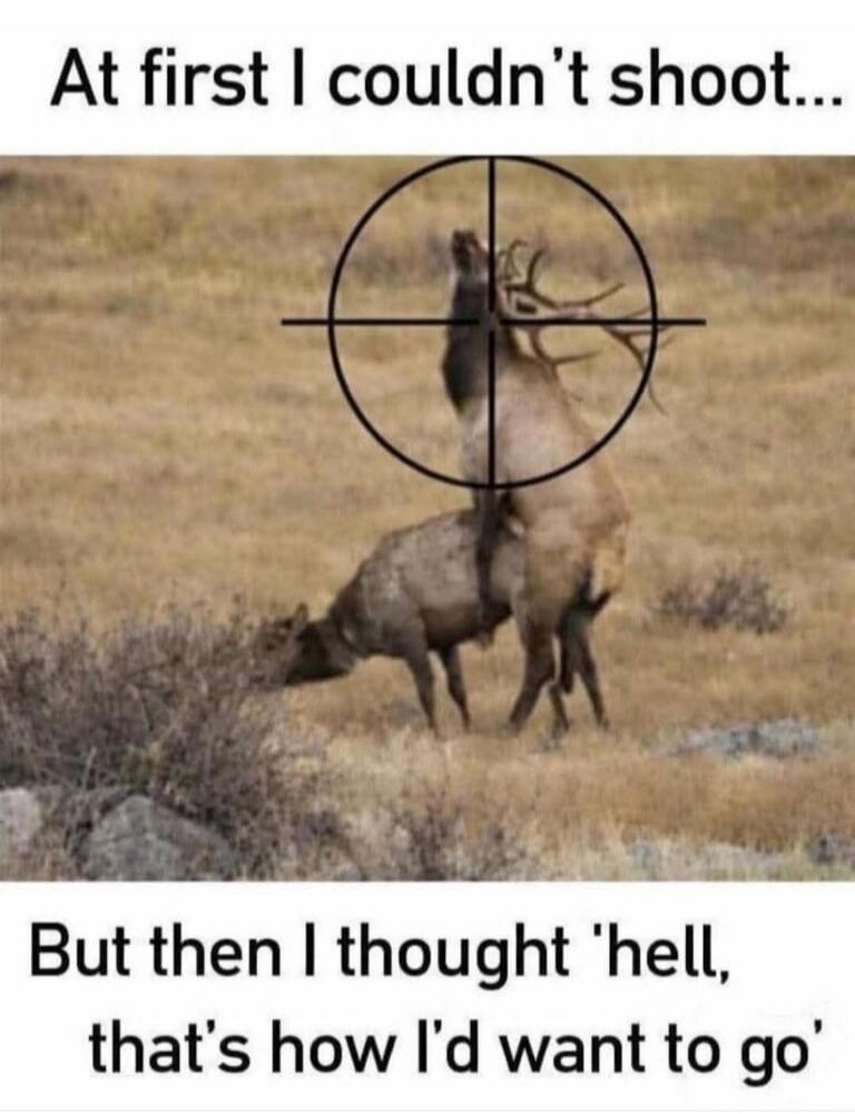 At first I couldn't shoot... But then I thought 'hell, that's how I'd want to go'