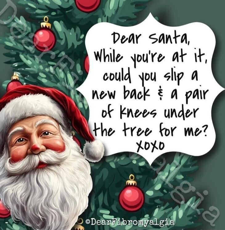 Dear Santa, While you're at it, could you slip a new back & a pair of knees under the tree for me? xoxo