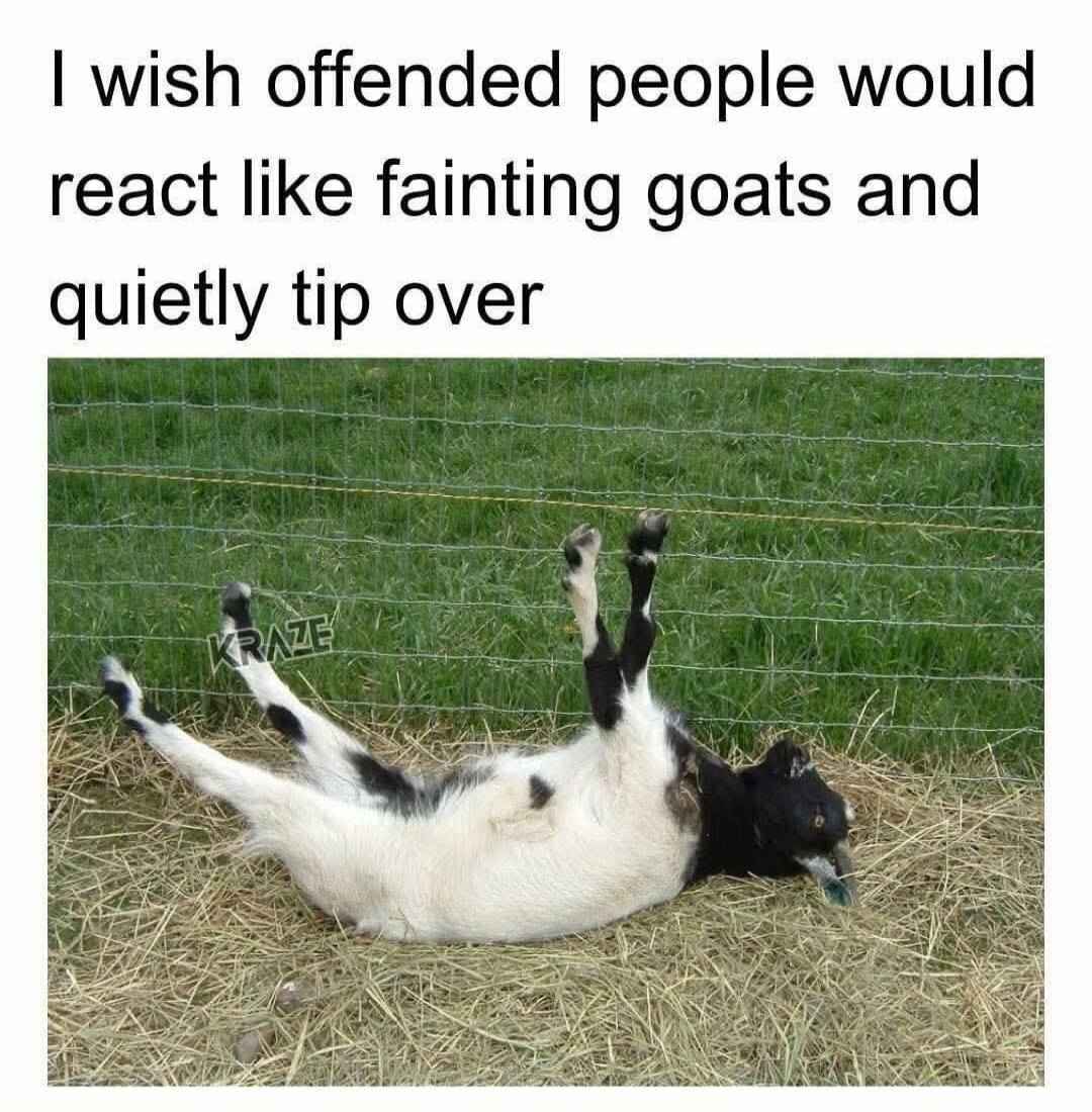 I wish offended people would react like fainting goats and quietly tip over KRAZE