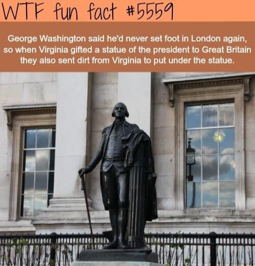 WTF fun fact 5554