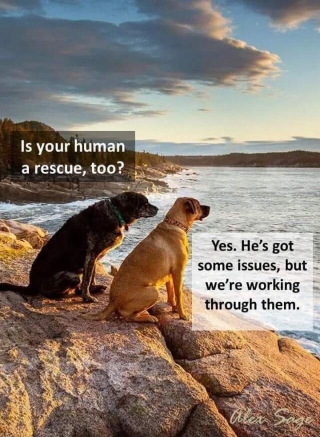 Is your human a rescue, too? Yes. He's got some issues, but we're working through them.