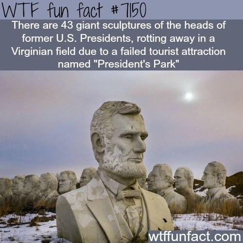 WTF fun fact 00 There are 43 giant sculptures of the heads of former US Presidents rotting away in a Virginian field due to a failed tourist attraction named Presidents Park