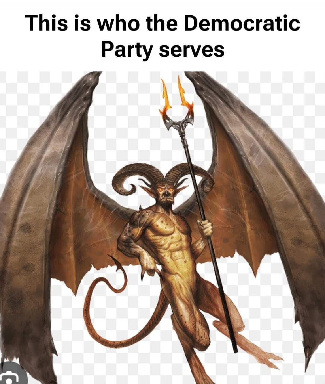This is who the Democratic Party serves