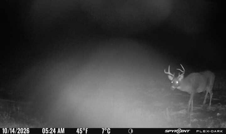 10/14/2026 05:24 AM 45°F 7°C SPYPOINT FLEX-DARK