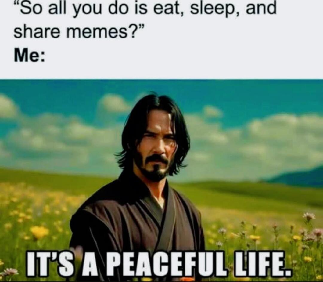 So all you do is eat, sleep, and share memes? Me: IT'S A PEACEFUL LIFE.