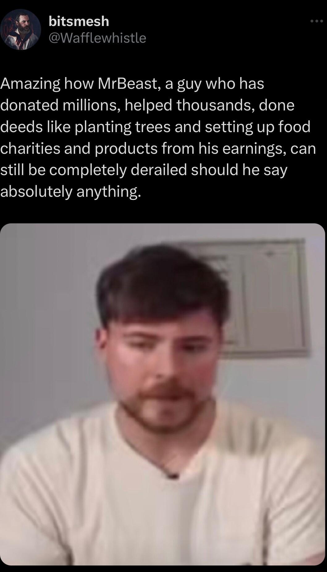 bitsmesh 5 fle Amazing how MrBeast a guy who has donated millions helped thousands done deeds like planting trees and setting up food charities and products from his earnings can still be completely derailed should he say absolutely anything