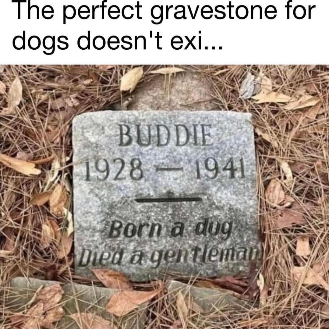 e perfect gravestone for dogs doesnt exi