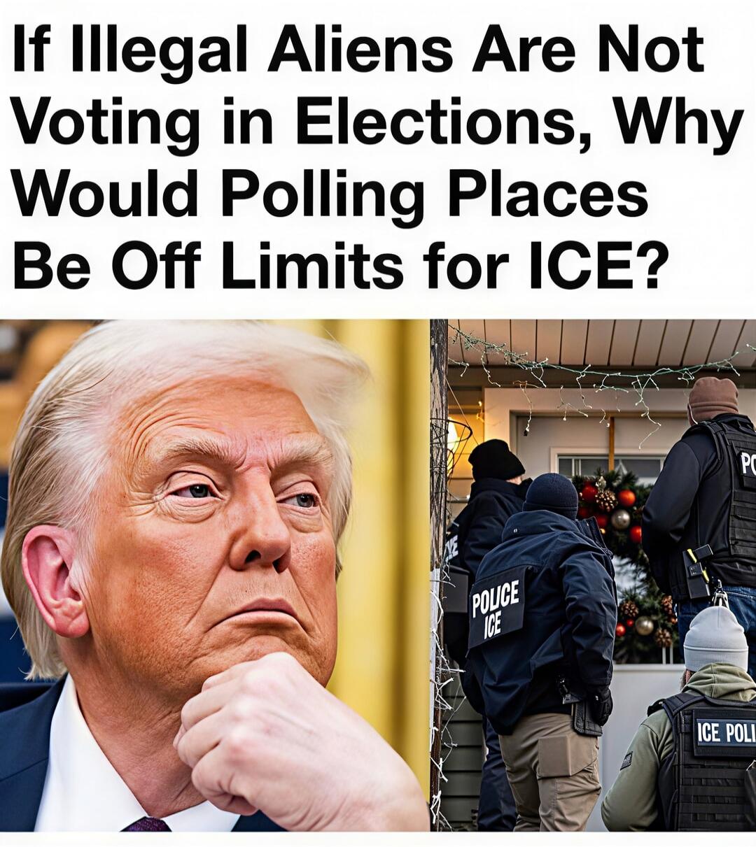 If Illegal Aliens Are Not Voting in Elections, Why Would Polling Places Be Off Limits for ICE?