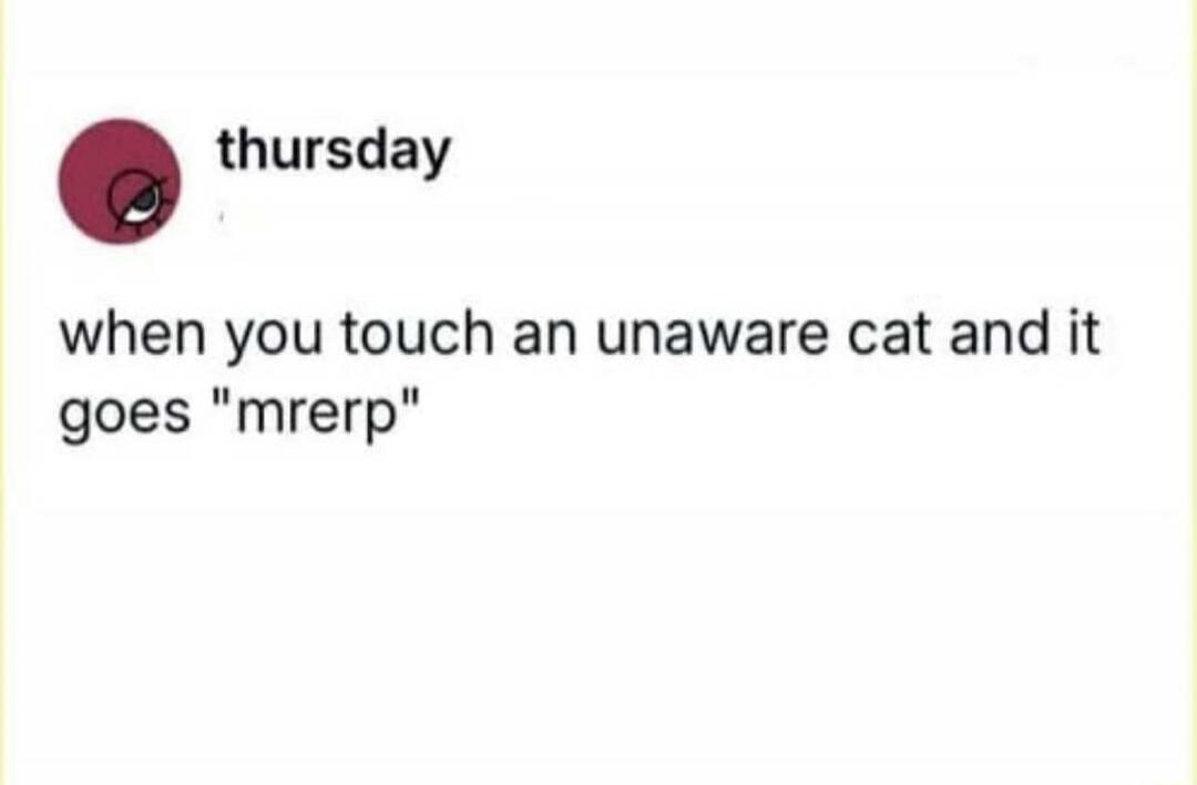 thursday when you touch an unaware cat and it goes 