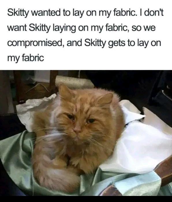 Skitty wanted to lay on my fabric dont want Skitty laying on my fabric so we compromised and Skitty gets to lay on my fabric