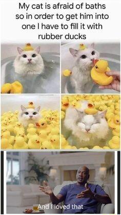 My cat is afraid of baths so in order to get him into one have to fill it with rubber ducks Andlioved that