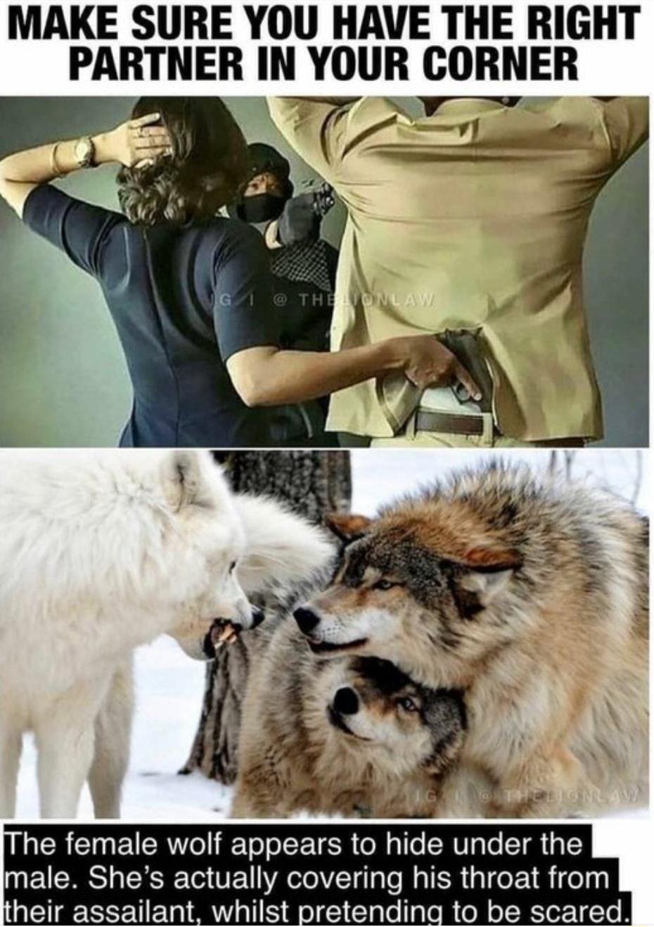 MAKE SURE YOU HAVE THE RIGHT PARTNER IN YOUR CORNER