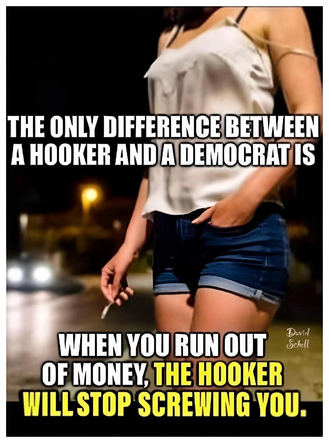 THE ONLY DIFFERENCE BETWEEN A HOOKER AND A DEMOCRAT IS WHEN YOU RUN OUT OF MONEY, THE HOOKER WILL STOP SCREWING YOU.