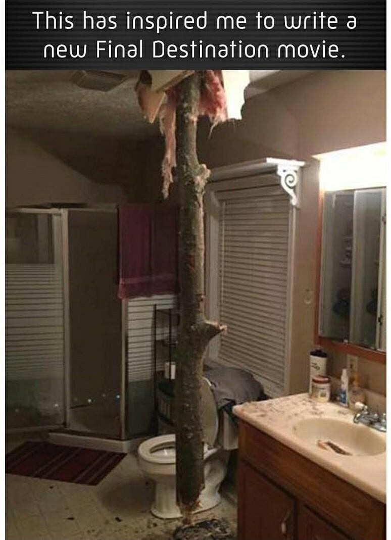 This has inspired me fo write a SRR OEINES G E e NI B 1