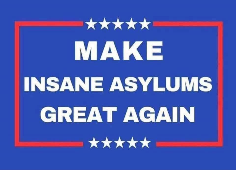 MAKE INSANE ASYLUMS GREAT AGAIN