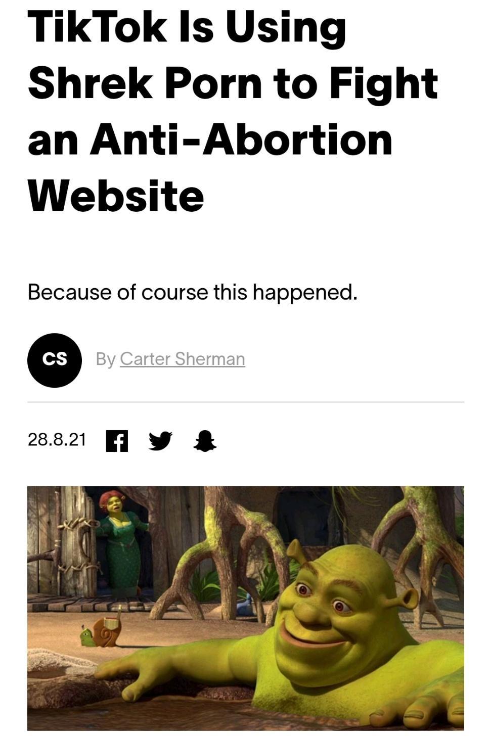 TikTok Is Using Shrek Porn to Fight an Anti Abortion Website Because of course this happened