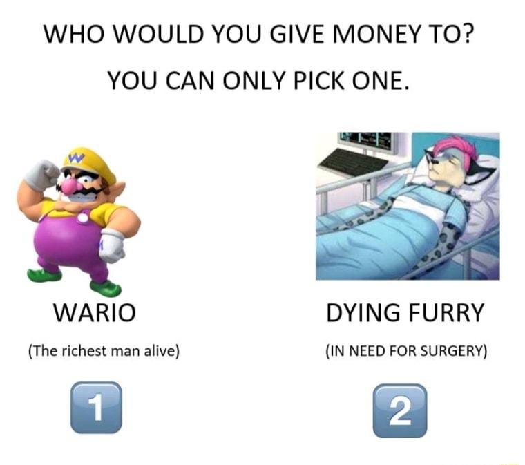 WHO WOULD YOU GIVE MONEY TO YOU CAN ONLY PICK ONE WARIO DYING FURRY The richest man alive IN NEED FOR SURGERY