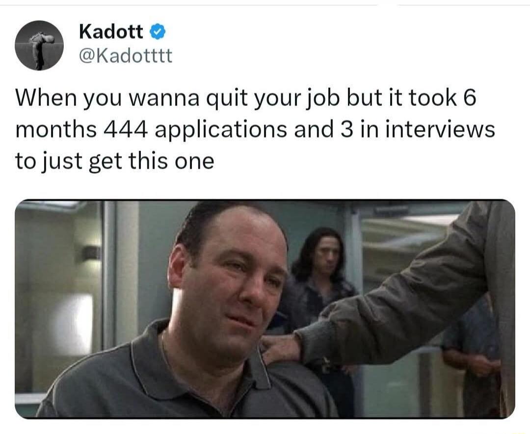 When you wanna quit your job but it took 6 months 444 applications and 3 in interviews to just get this one