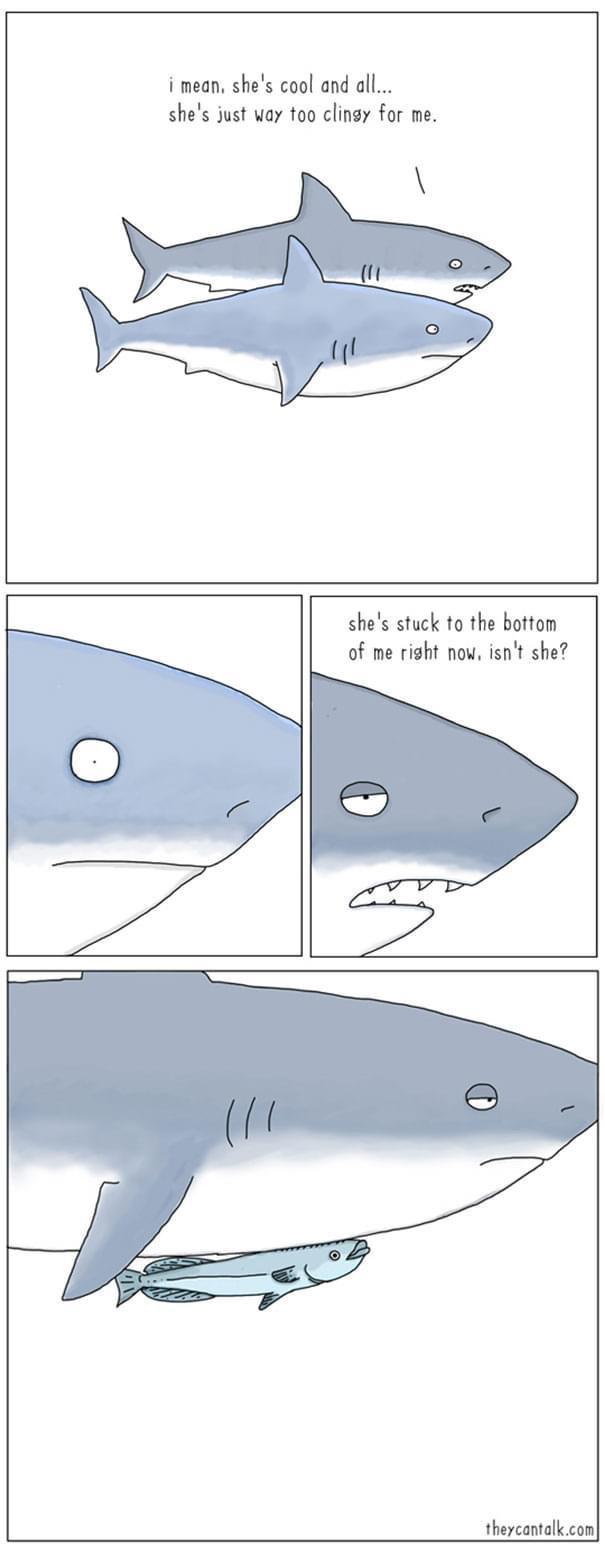 i mean shes cool and all shes just vay too clinay for me shes stuck to the bottom of me right now isnt she theycantalkcon