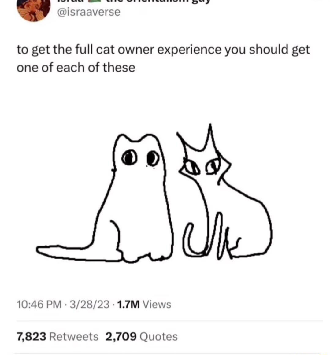 to get the full cat owner experience you should get one of each of these 1046 PM 32823 17TM Views 7823 Retweets 2709 Quotes