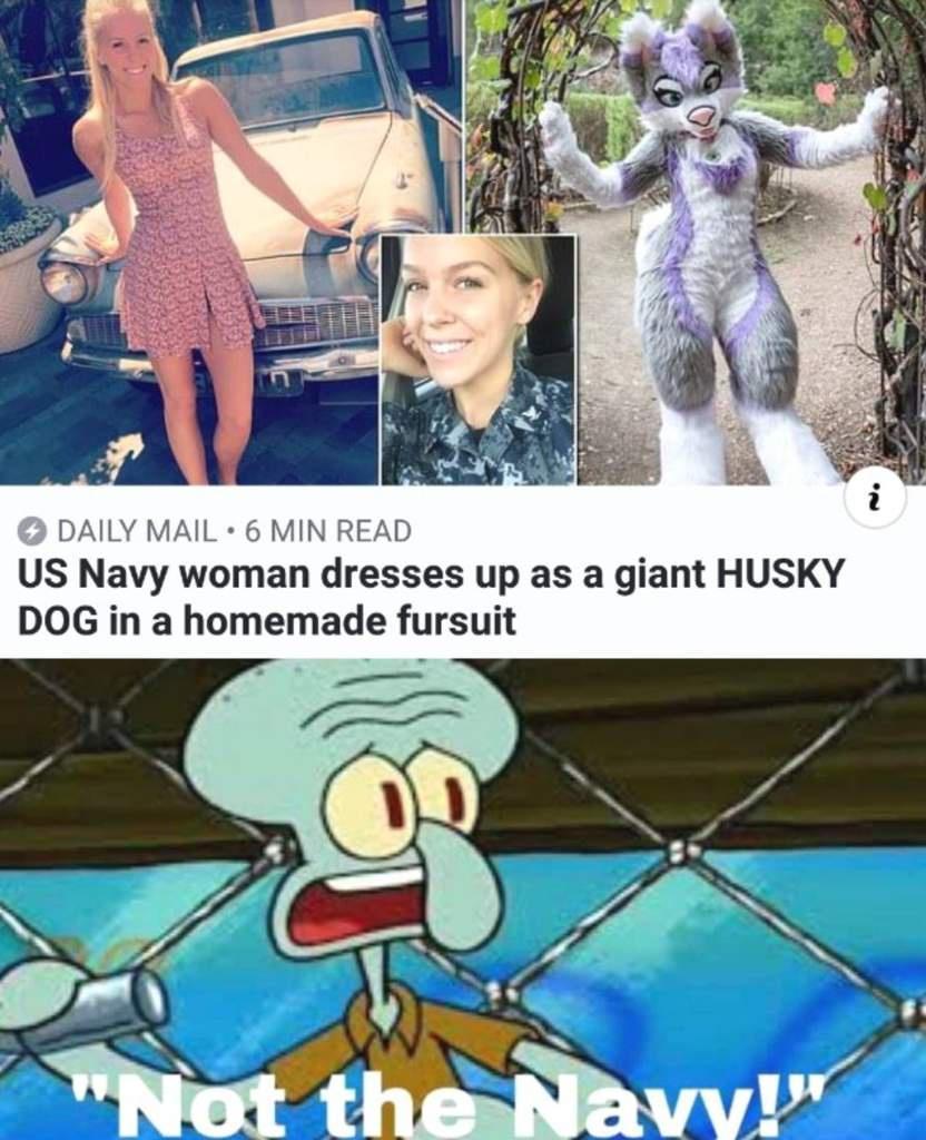DAILY MAIL 6 MIN READ US Navy woman dresses up as a giant HUSKY DOG in a homemade fursuit