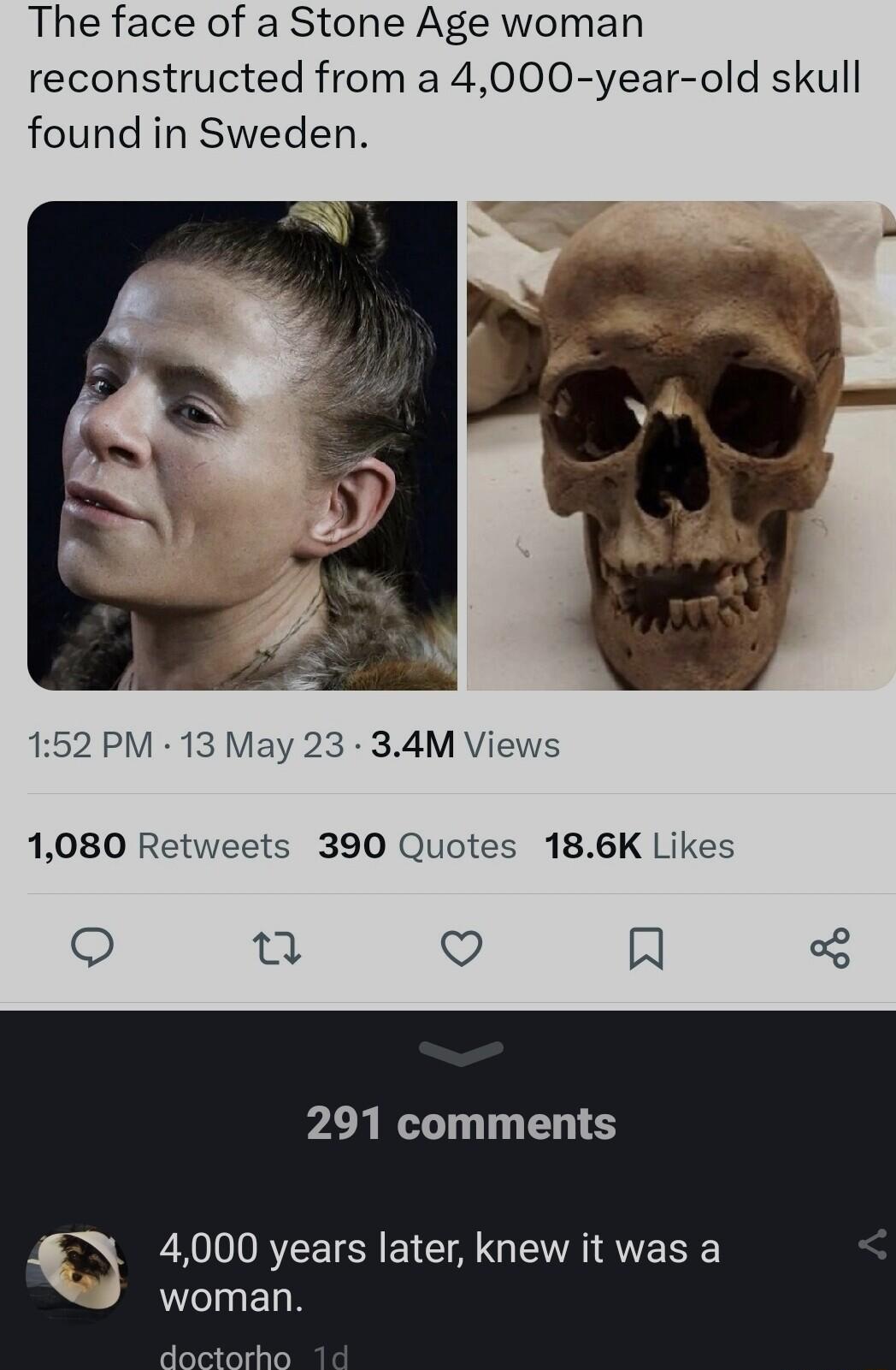 The face of a Stone Age woman reconstructed from a 4000 year old skull found in Sweden 152 PM 13 May 23 34M Views 1080 Retweets 390 Quotes 186K Likes u V A 291 comments 4000 years later knew it was a WInEN