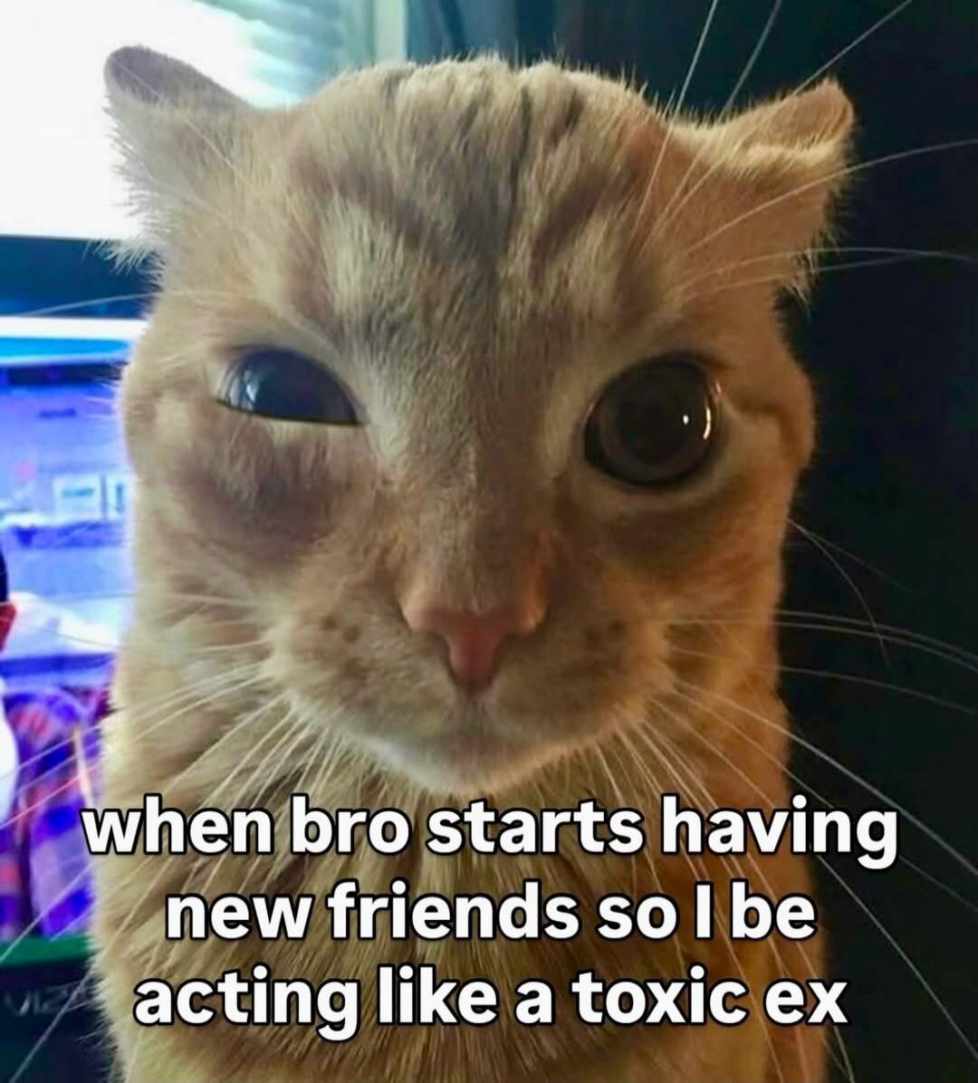 when bro starts having new friends so I be acting like a toxic ex