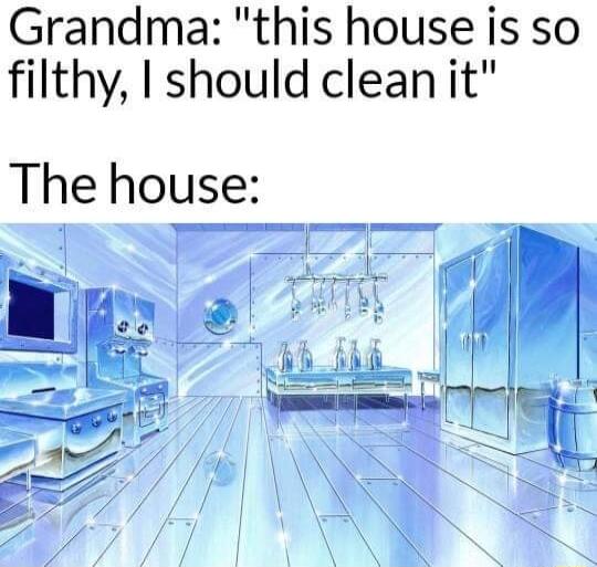 Grandma this house is so filthy I should clean it The house