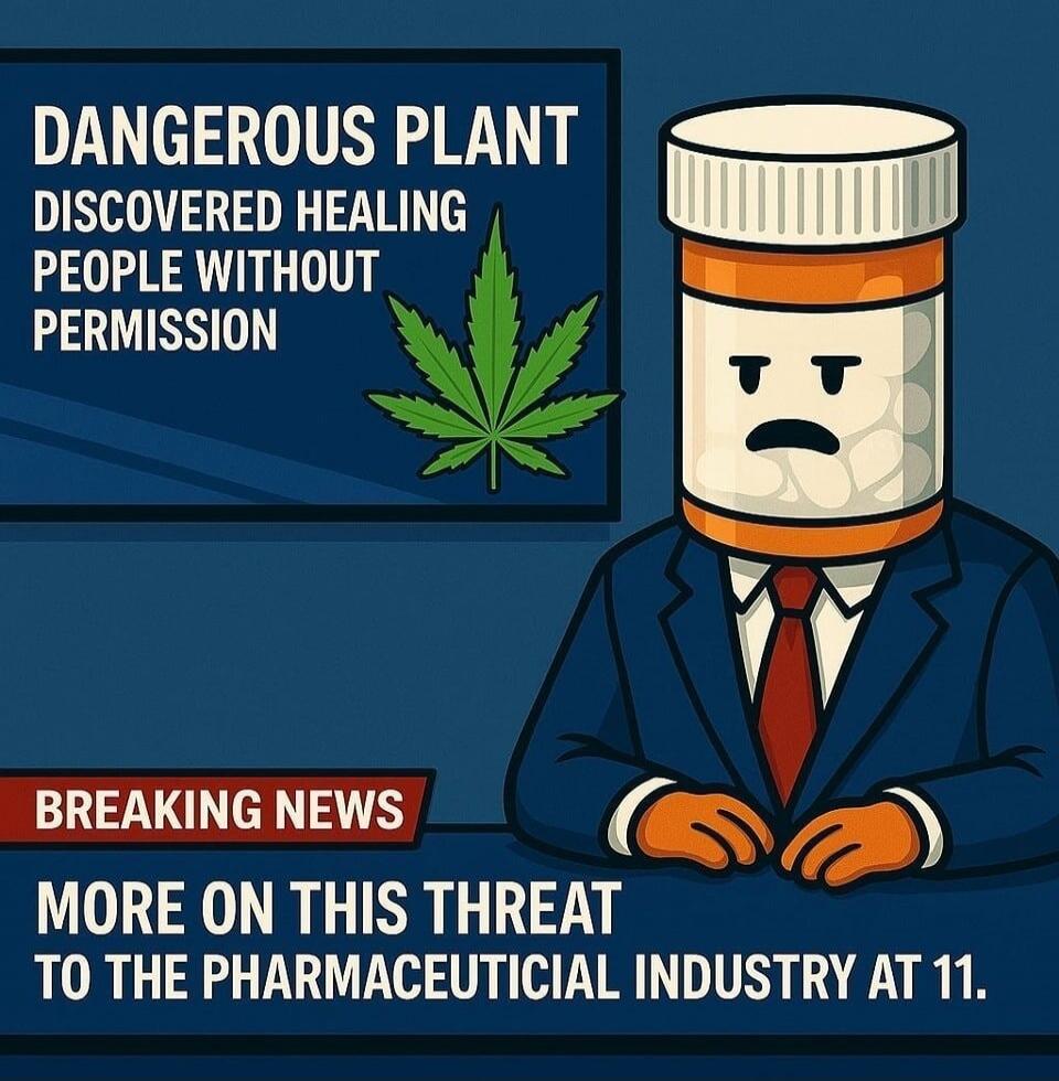 DANGEROUS PLANT DISCOVERED HEALING PEOPLE WITHOUT PERMISSION
BREAKING NEWS
MORE ON THIS THREAT TO THE PHARMACEUTICAL INDUSTRY AT 11.