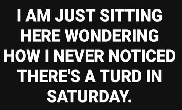 I AM JUST SITTING HERE WONDERING HOW I NEVER NOTICED THERE'S A TURD IN SATURDAY.