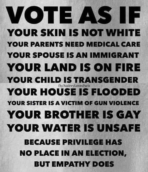 VOTE AS IF YOUR SKIN IS NOT WHITE YOUR PARENTS NEED MEDICAL CARE YOUR SPOUSE IS AN IMMIGRANT YOUR LAND IS ON FIRE YOUR CHILD I YOUR SISTER IS A VICTIM OF GUN VIOLENCE YOUR BROTHER IS GAY YOUR WATER IS UNSAFE BECAUSE PRIVILEGE HAS NO PLACE IN AN ELECTION BUT EMPATHY DOES
